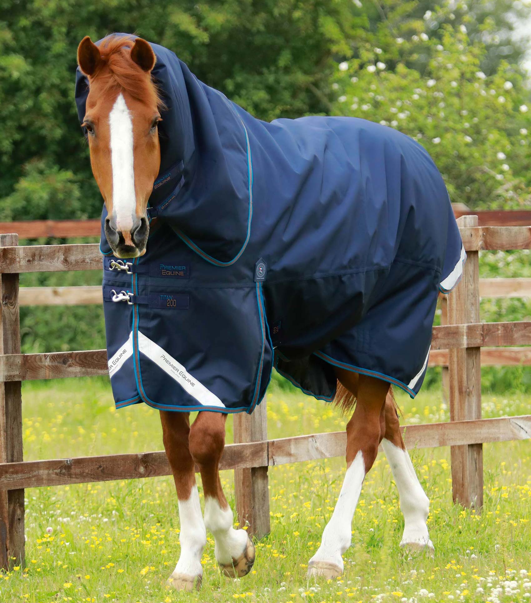 Premier Equine Titan 200g Turnout Rug with Snug-Fit Neck Cover