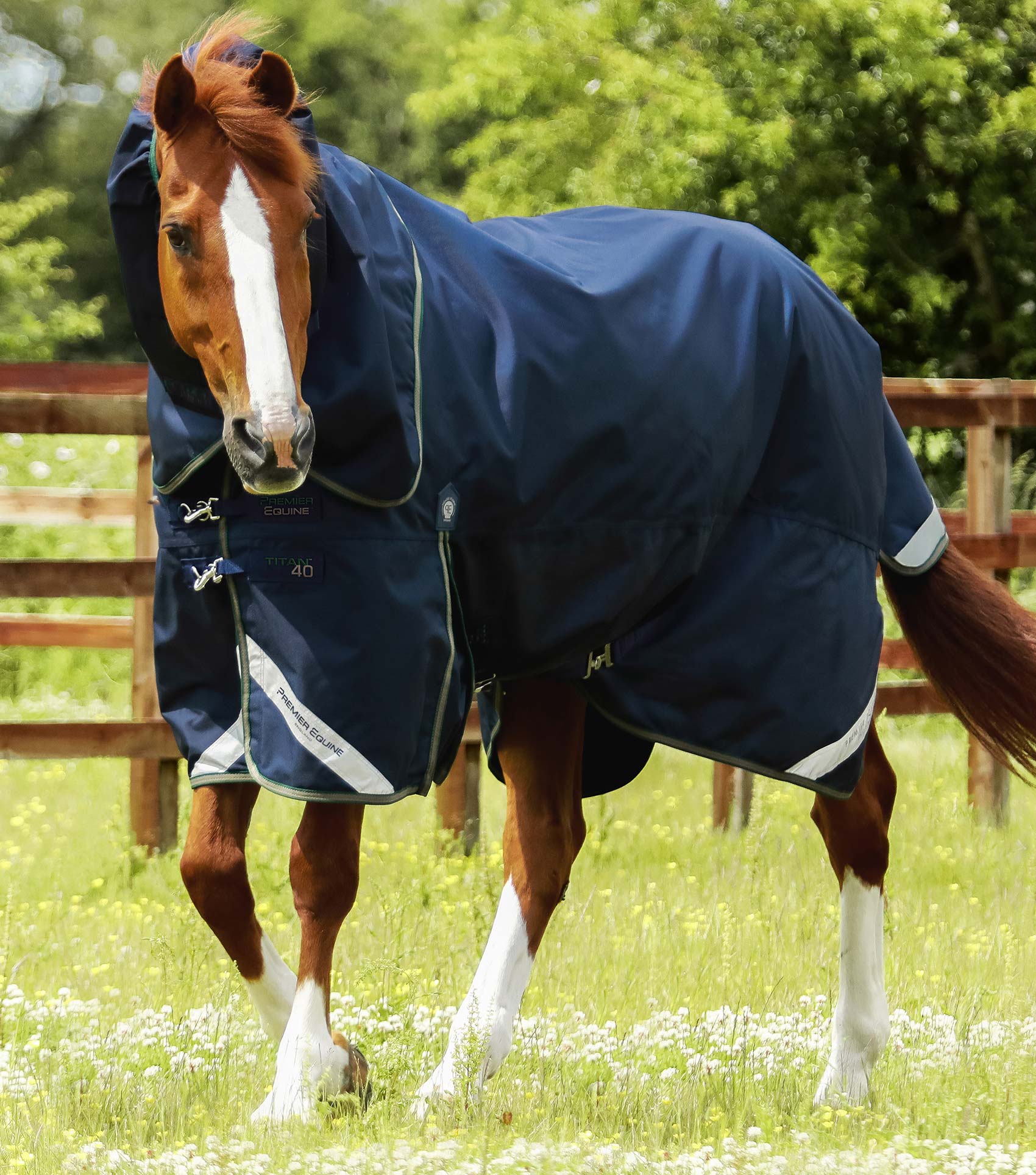 Premier Equine Titan 40g Turnout Rug with Snug-Fit Neck Cover