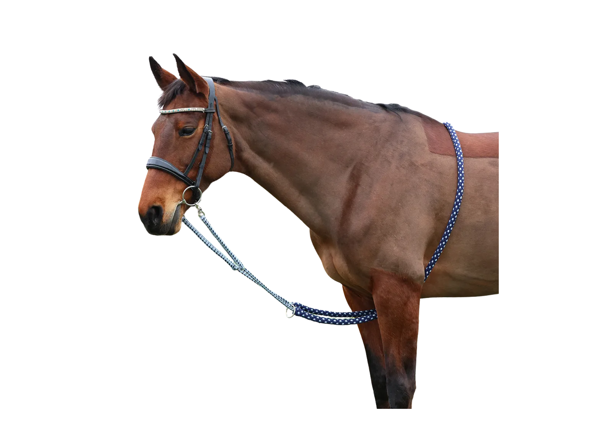 Hy Equestrian Lunging Aid