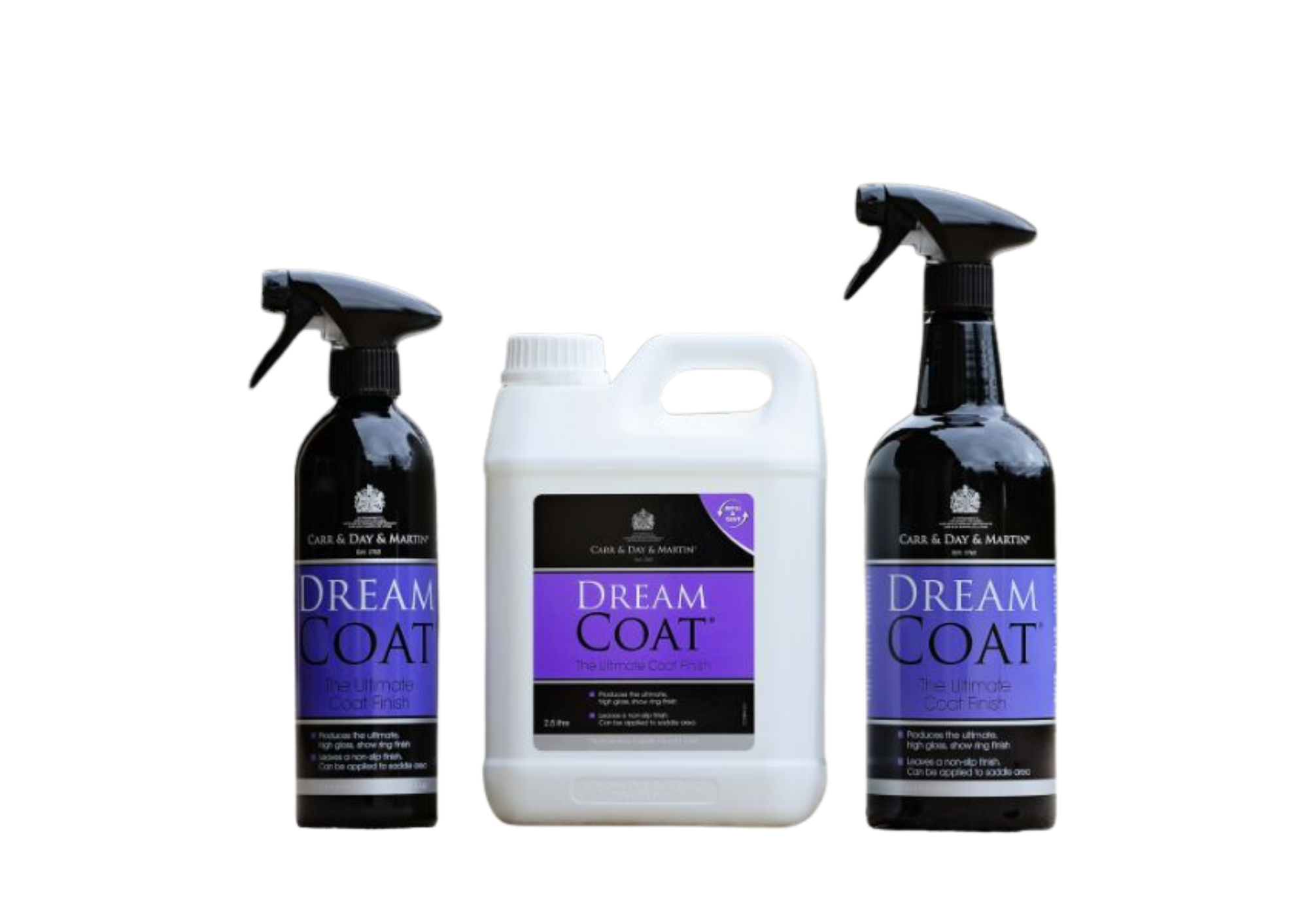 Carr & Day & Martin DreamCoat