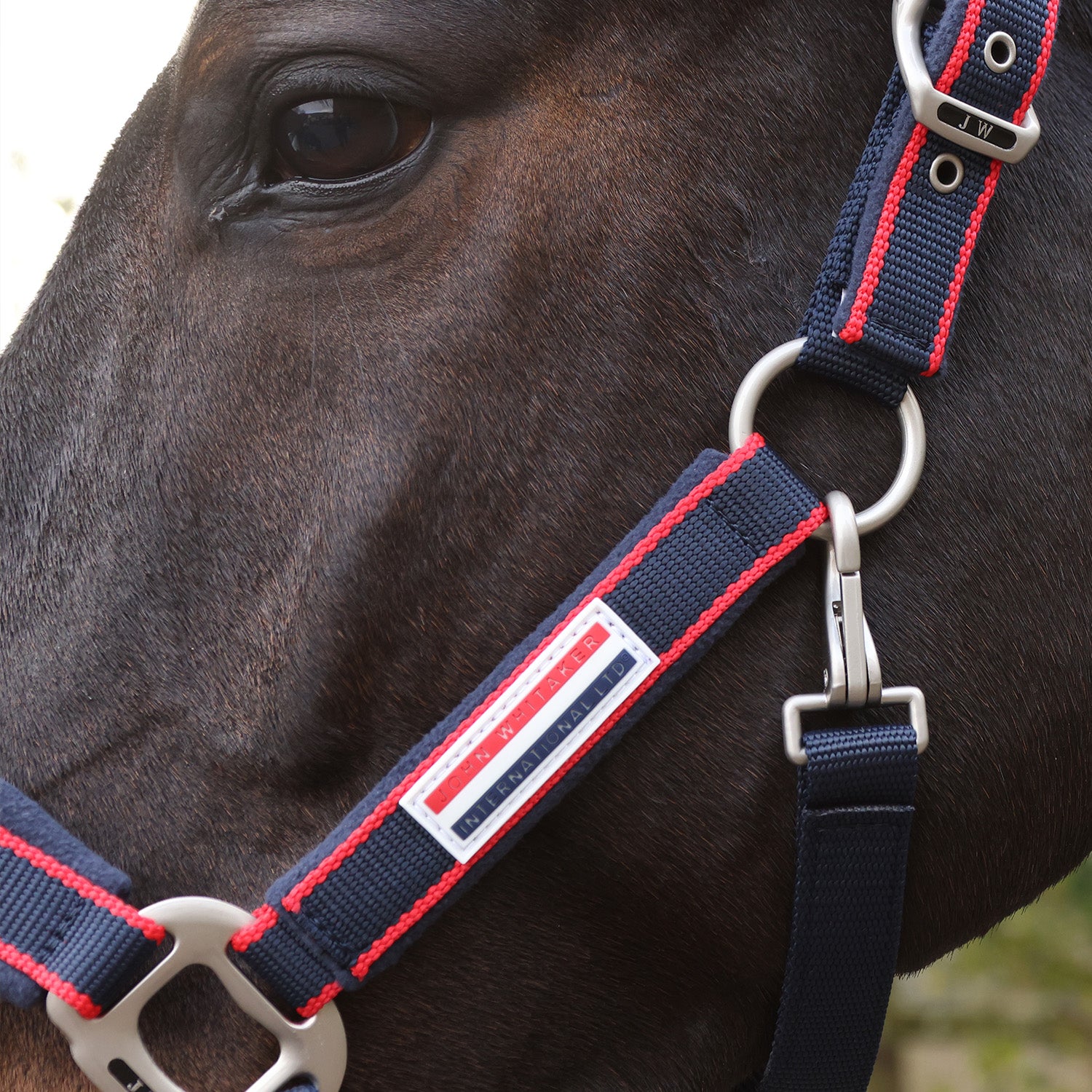 John Whitaker Padded Headcollar & Leadrope Set