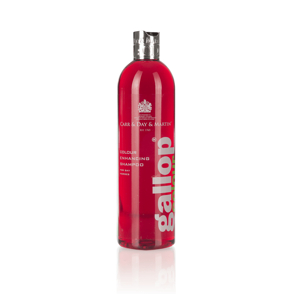 Carr & Day & Martin Gallop Colour Bay