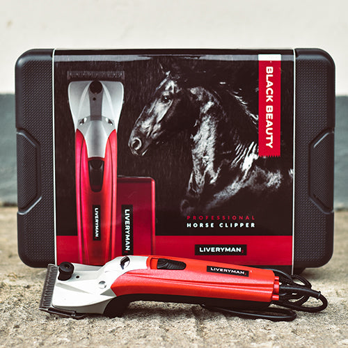 Liveryman Black Beauty