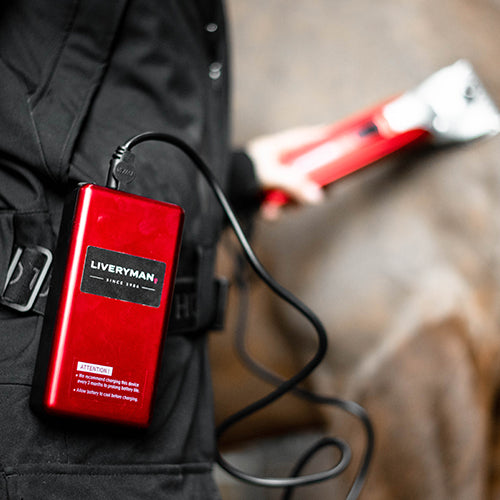 Liveryman Black Beauty