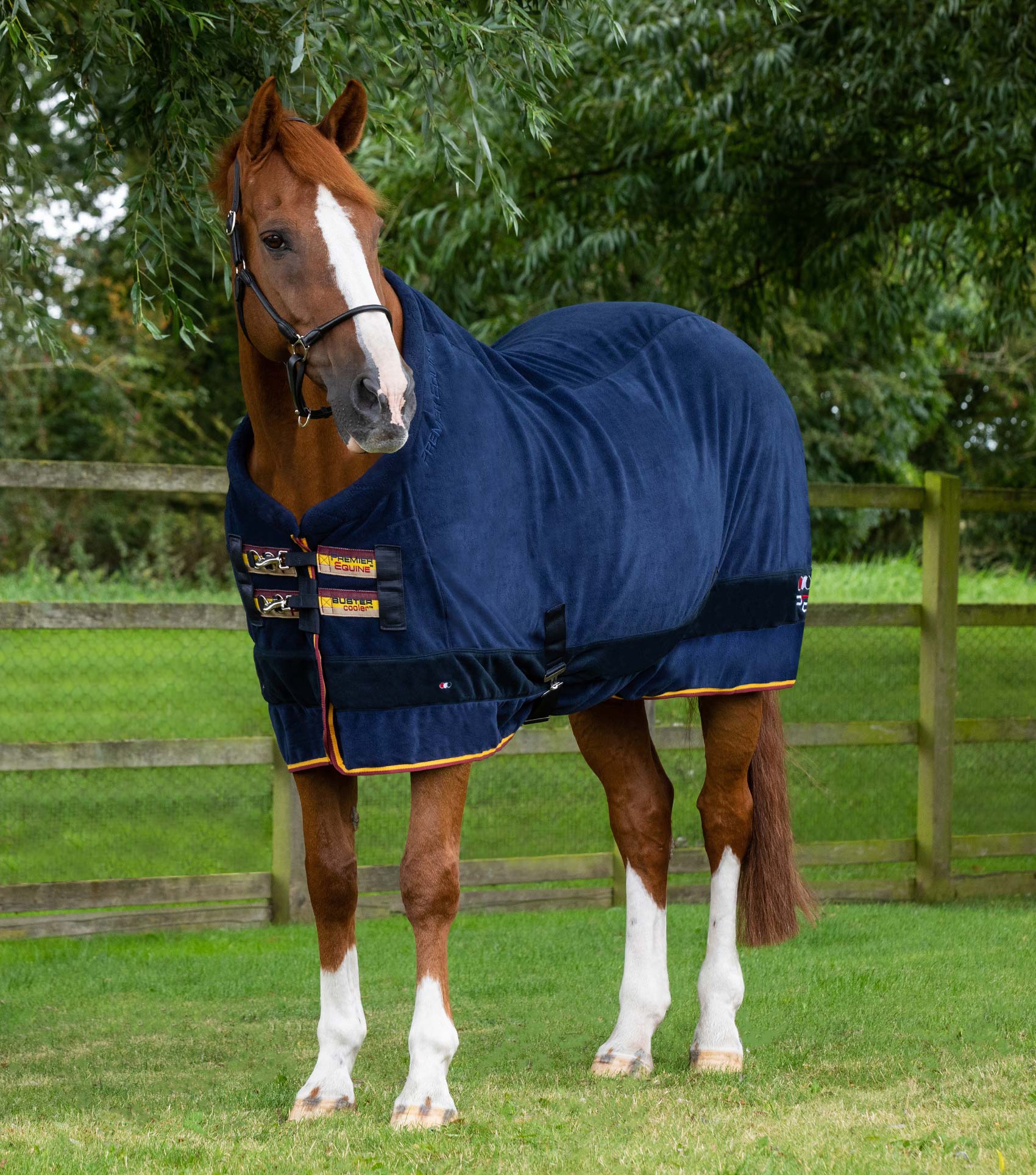 Premier Equine Buster Fleece Cooler Rug - Continental Edition