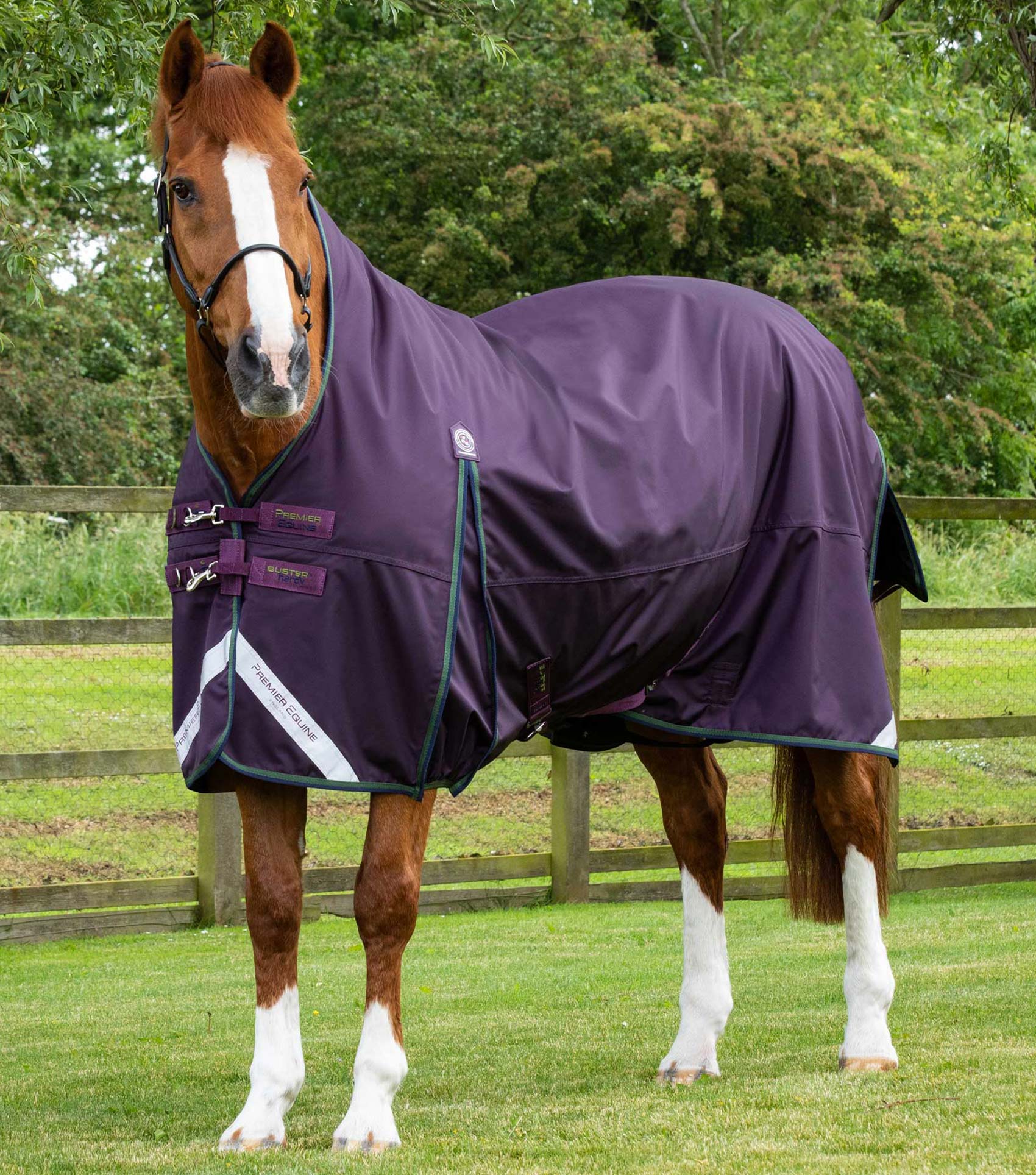 Premier Equine Buster Hardy 100g Half Neck Turnout Rug
