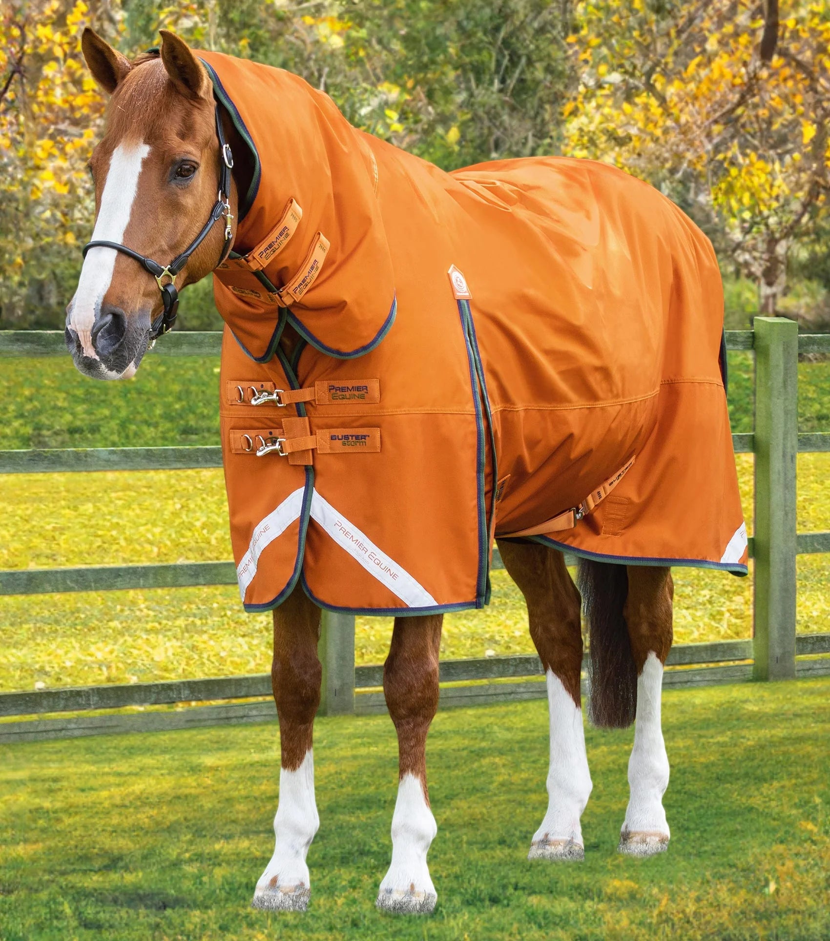 Premier Equine Buster Storm 400g Combo Turnout Rug with Classic Neck