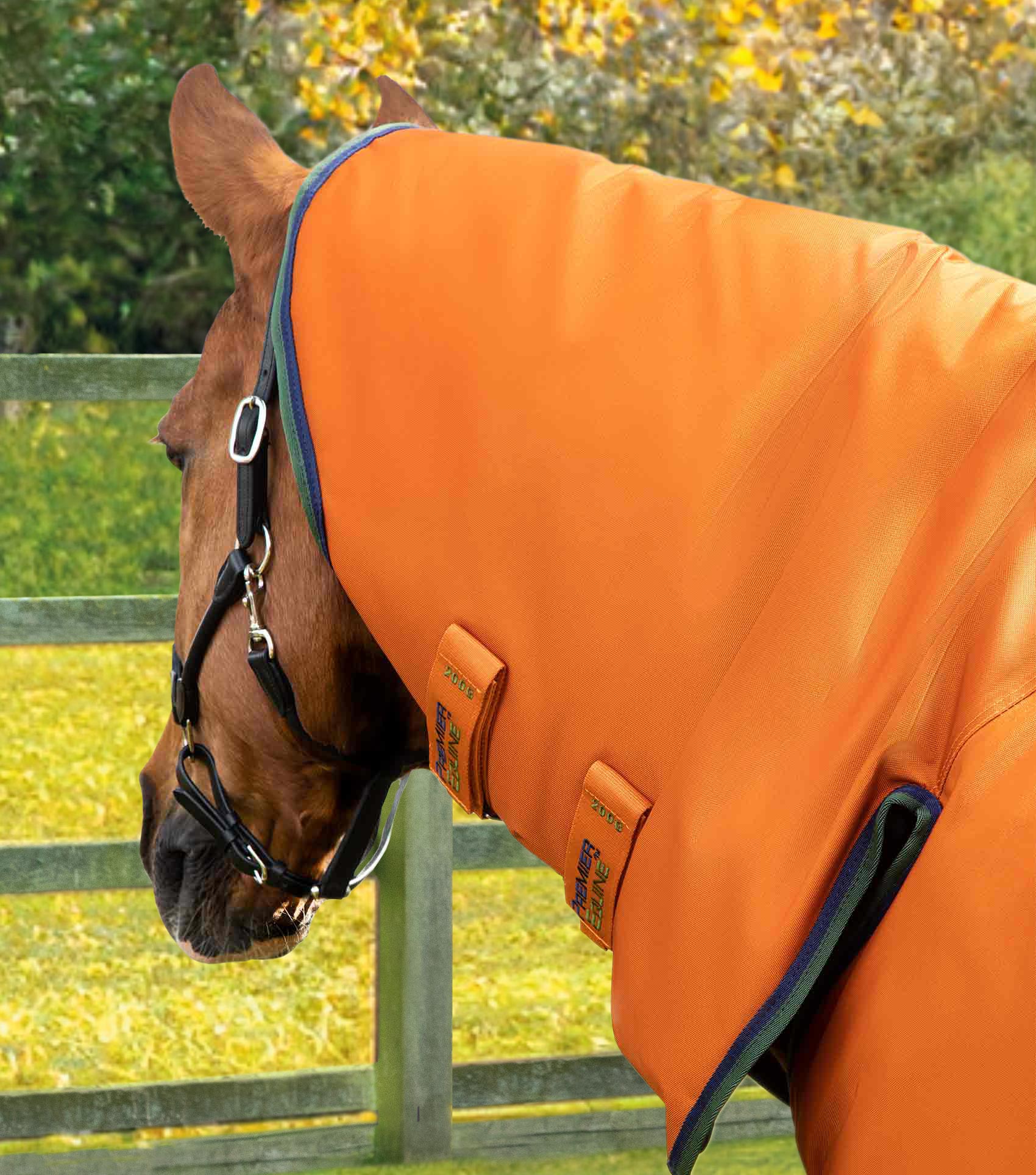 Premier Equine Buster Storm 400g Combo Turnout Rug with Classic Neck