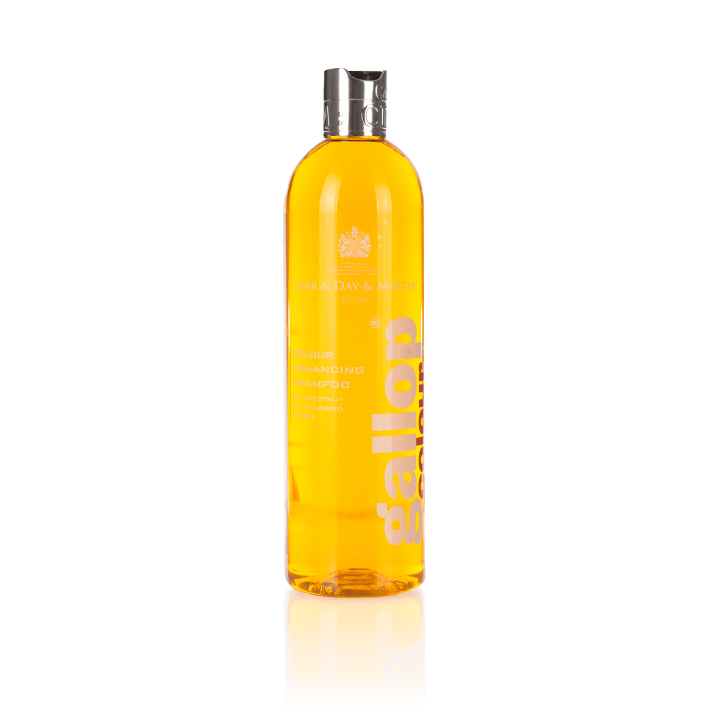 Carr & Day & Martin Gallop Colour Chestnut & Palomino