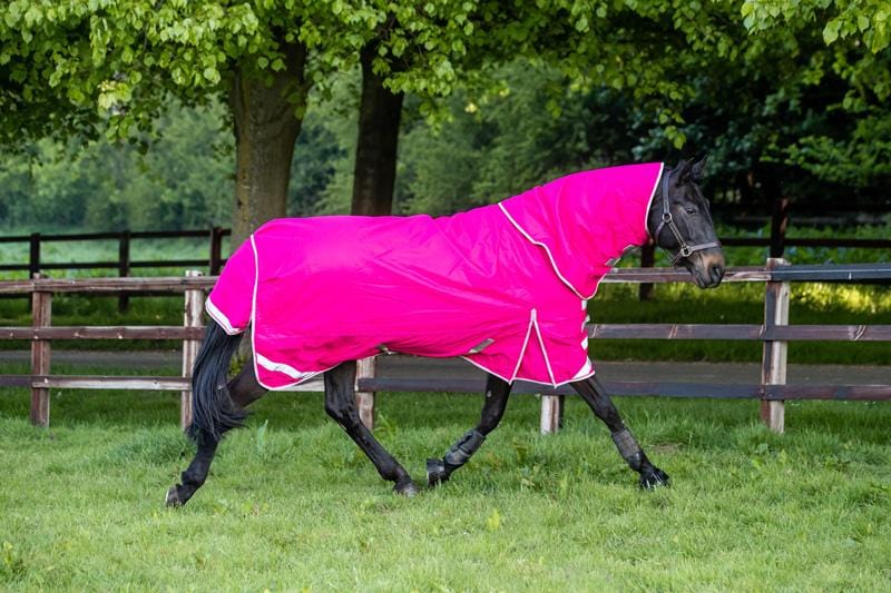 100g Detachable Neck Turnout Rug - Pink