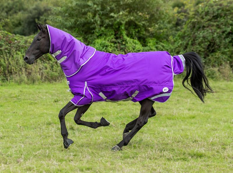0g Detachable Neck Turnout Rug - Purple