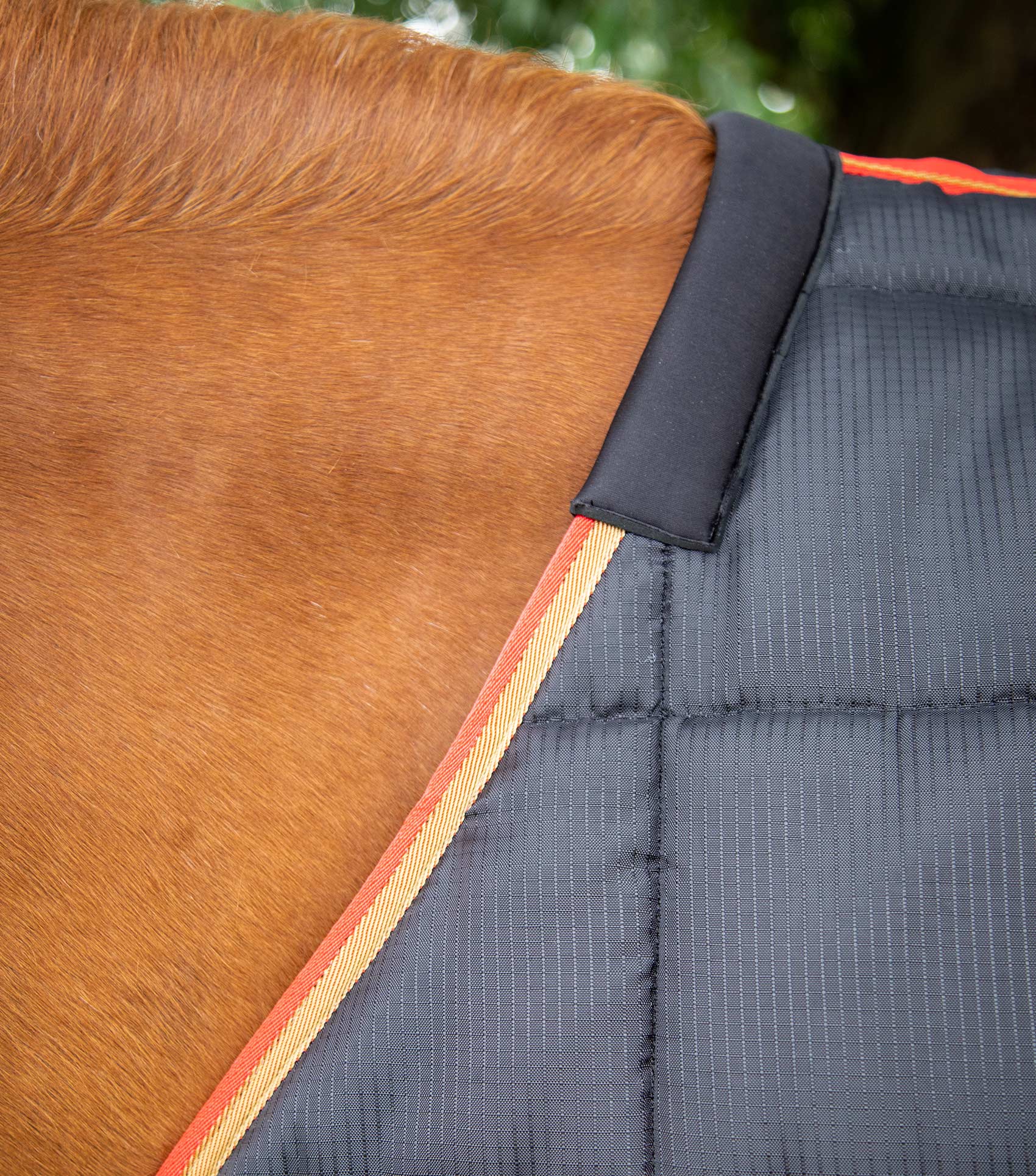 Premier Equine Garissa Stable Rug 400g