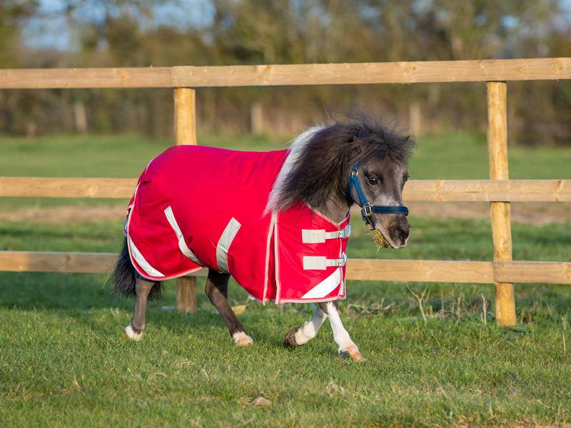 MINI 200g Turnout Rug - Red