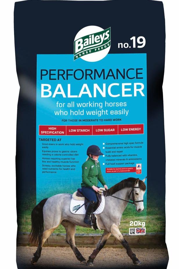 Baileys NO.19 Performance Balancer 20kg