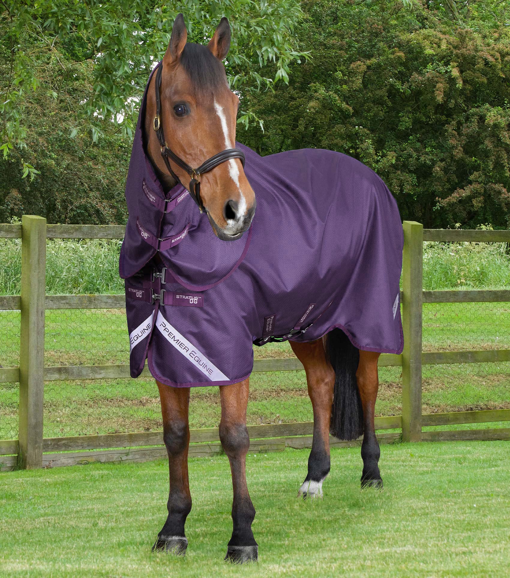 Premier Equine Stratus 600D Series 0g Turnout Rug with Classic Neck Cover