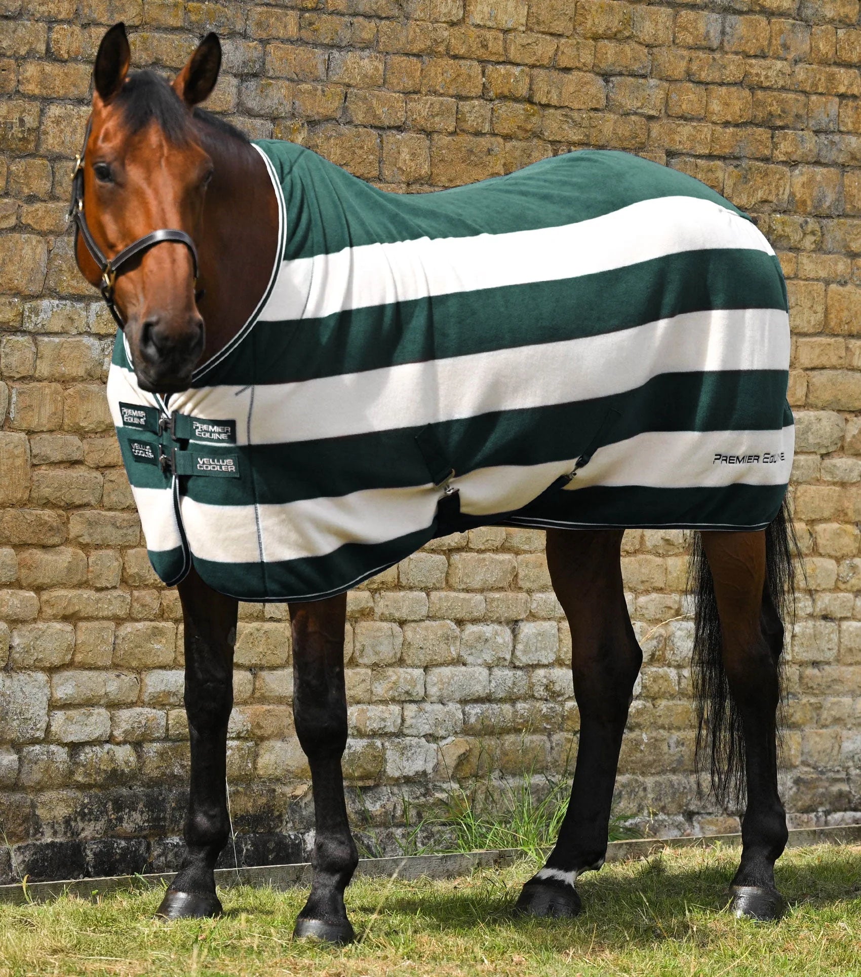 Premier Equine Vellus Horse Fleece Rug