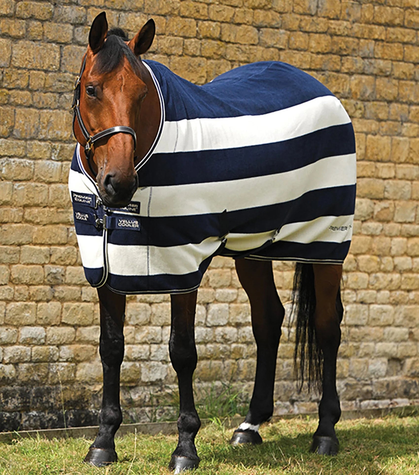 Premier Equine Vellus Horse Fleece Rug