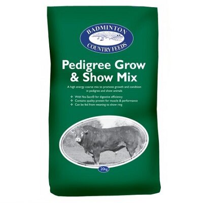 Cattle Feed