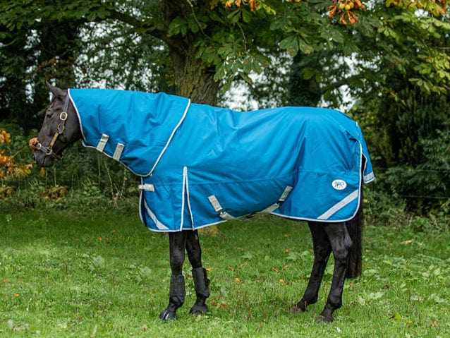 100g Detachable Neck Turnout Rug - Turquoise