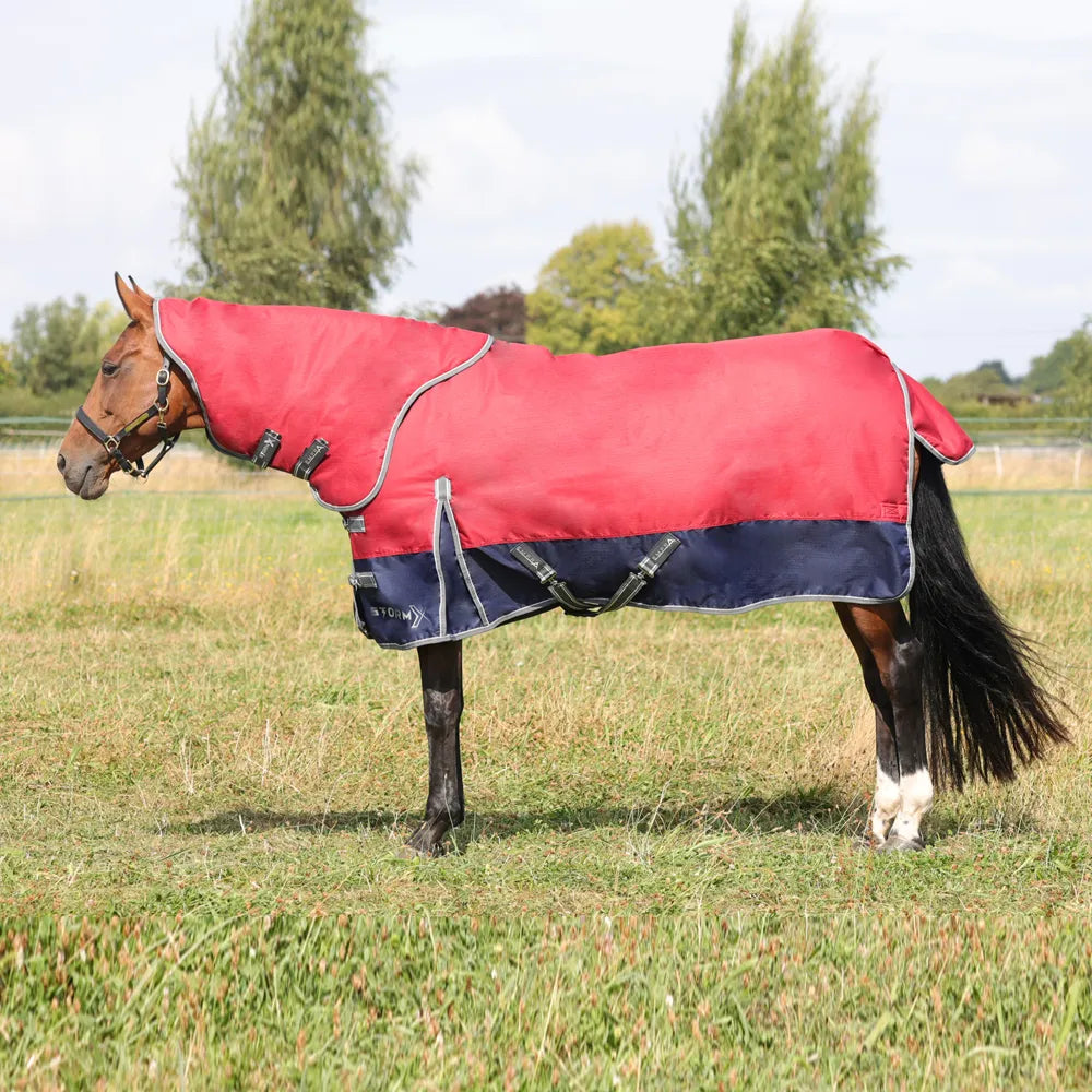 StormX Empra 200g Turnout Rug with Detachable Neck