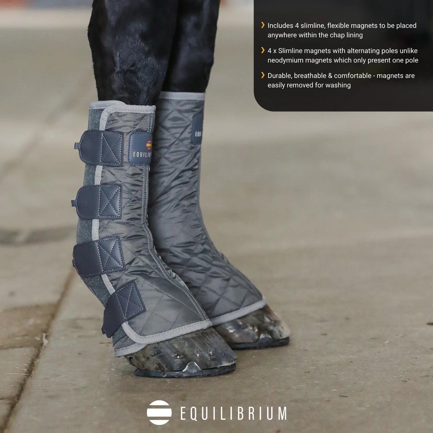 Equilibrium Magnetic Chaps