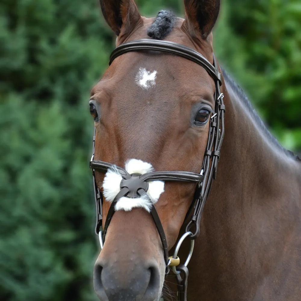 Hy Mexican Bridle with Rubber Grip Reins