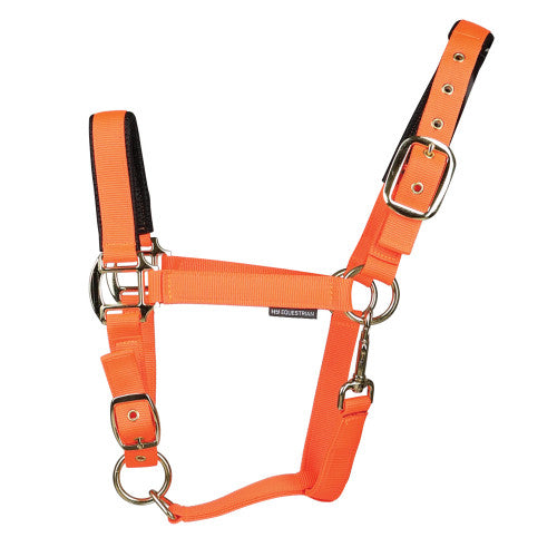 Hy Equestrian Grand Prix Head Collar