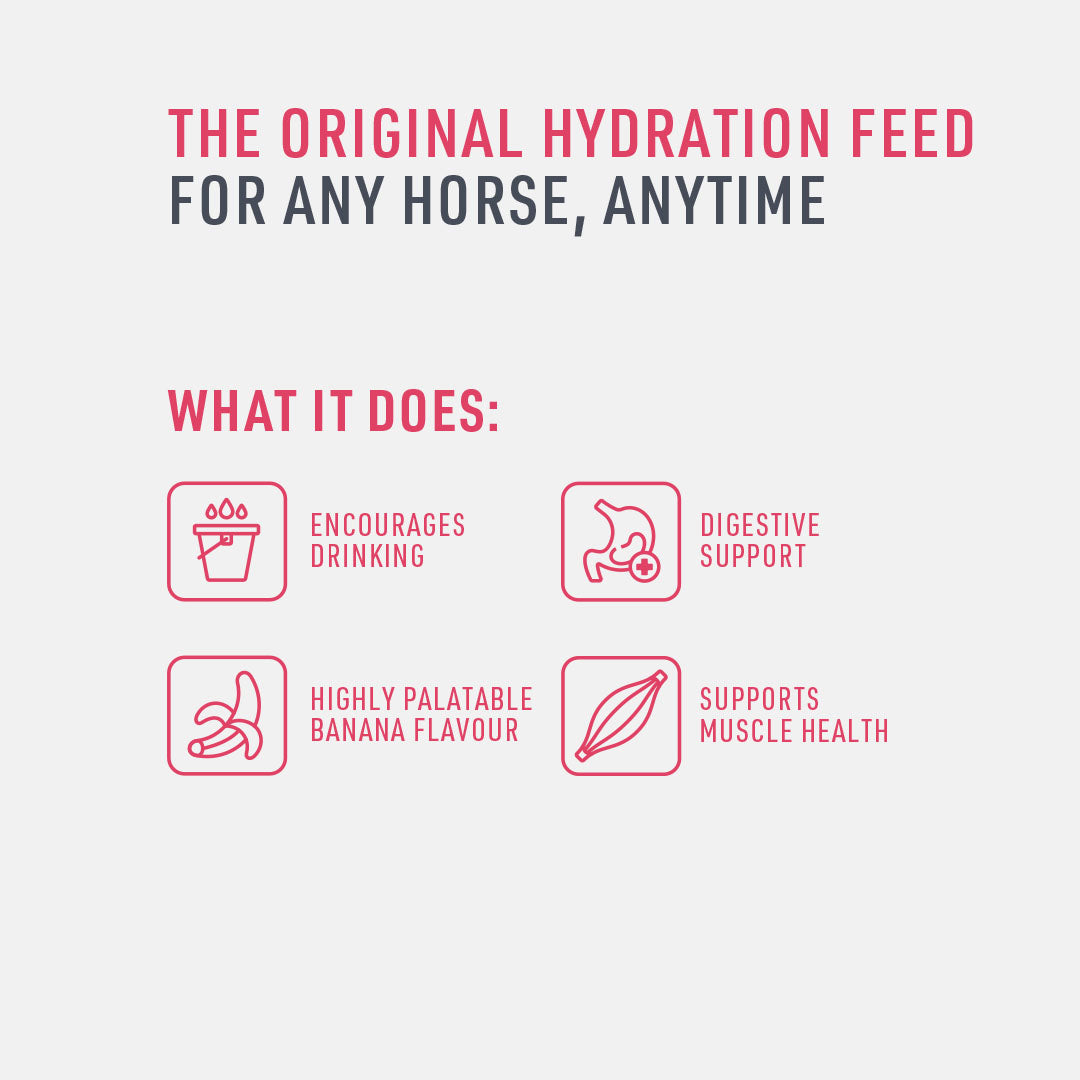 Saracen Re-Covery Mash 20kg