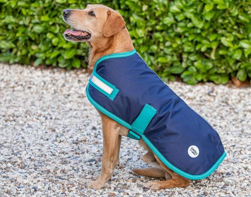 Waterproof Dog Coat - Navy