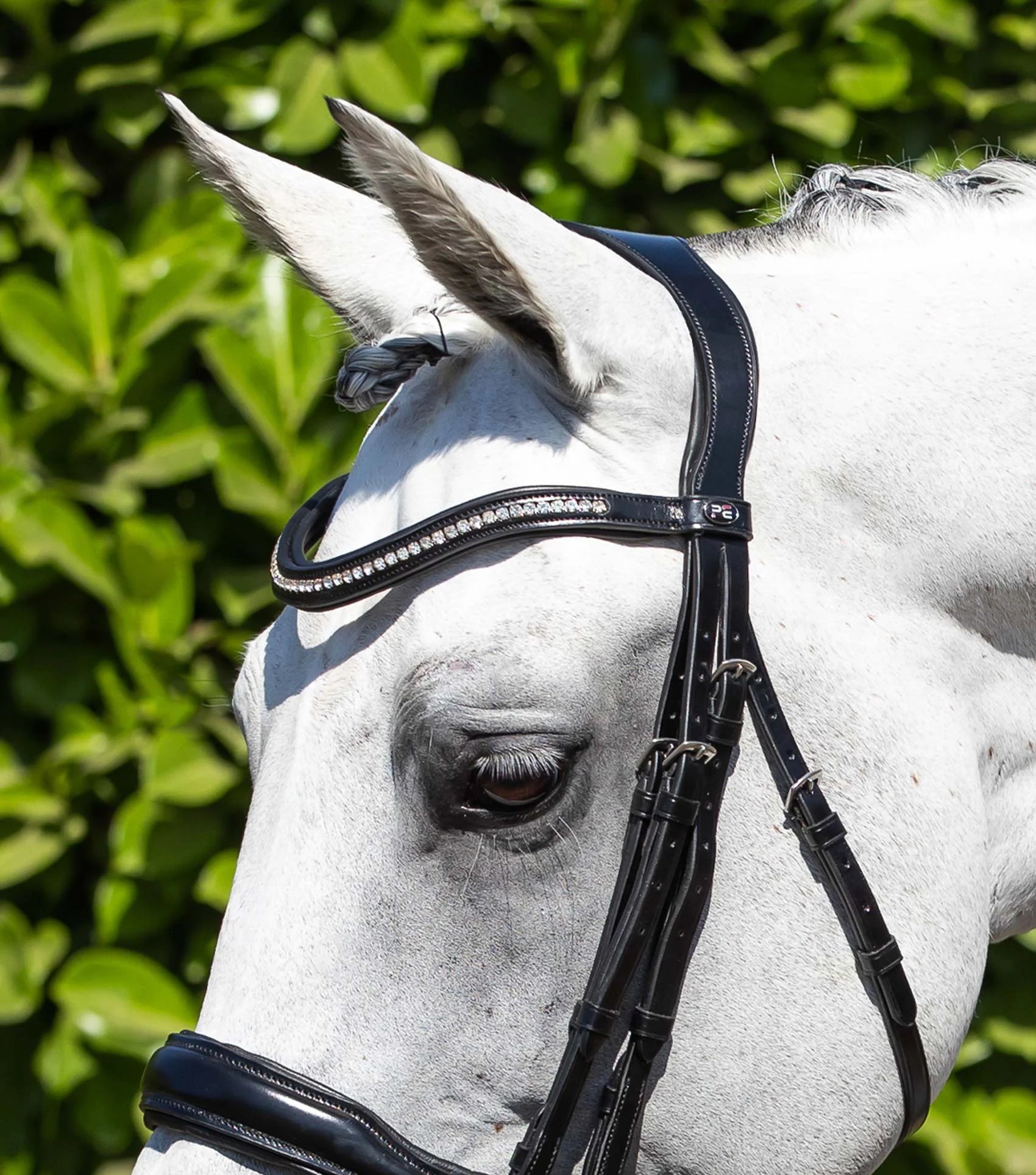 Abriano Anatomic Double Bridle