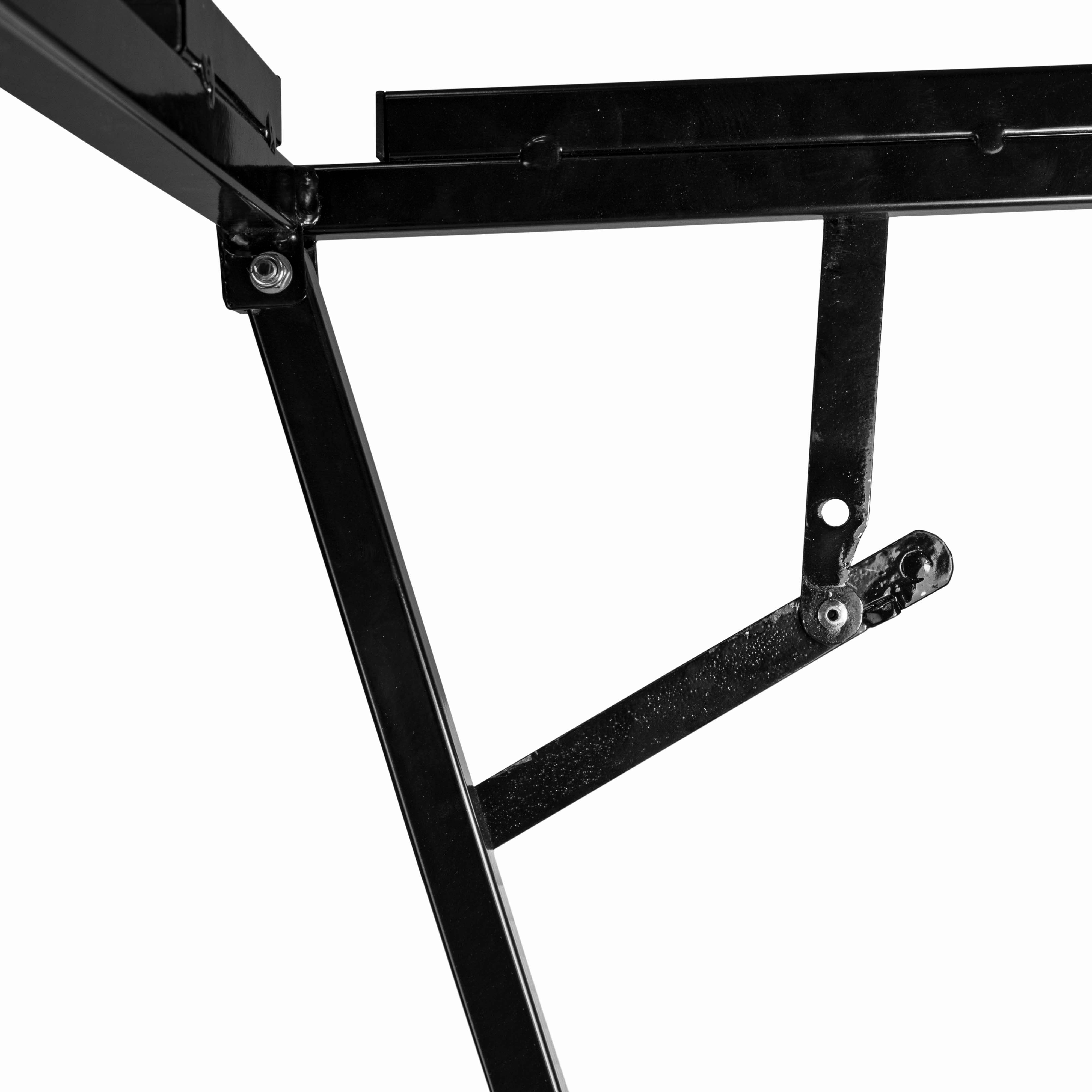 Blue Dog Bath with Drain Valve (Black) and Stand