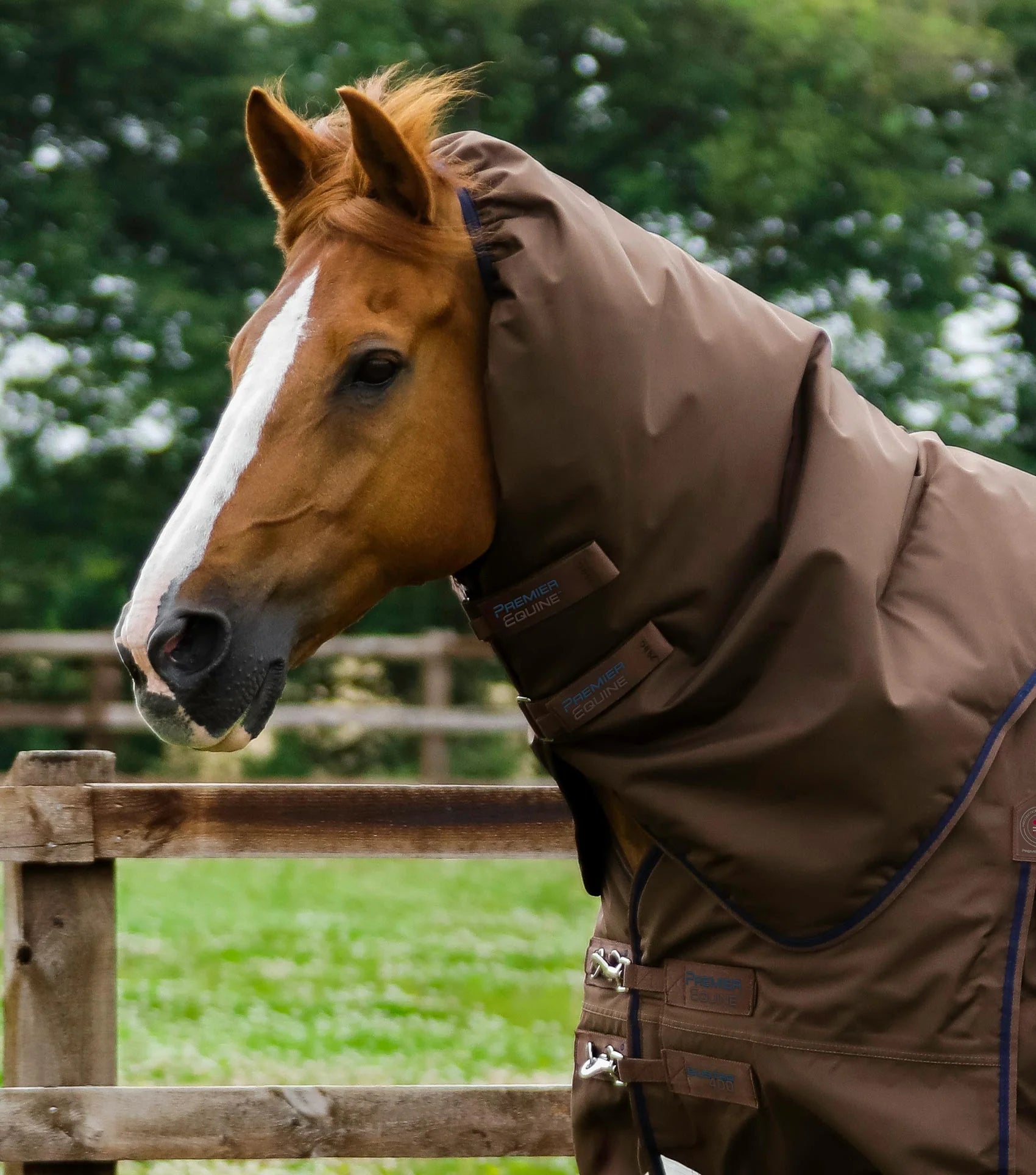 Premier Equine Buster 400g Turnout Rug with Snug-Fit Neck Cover
