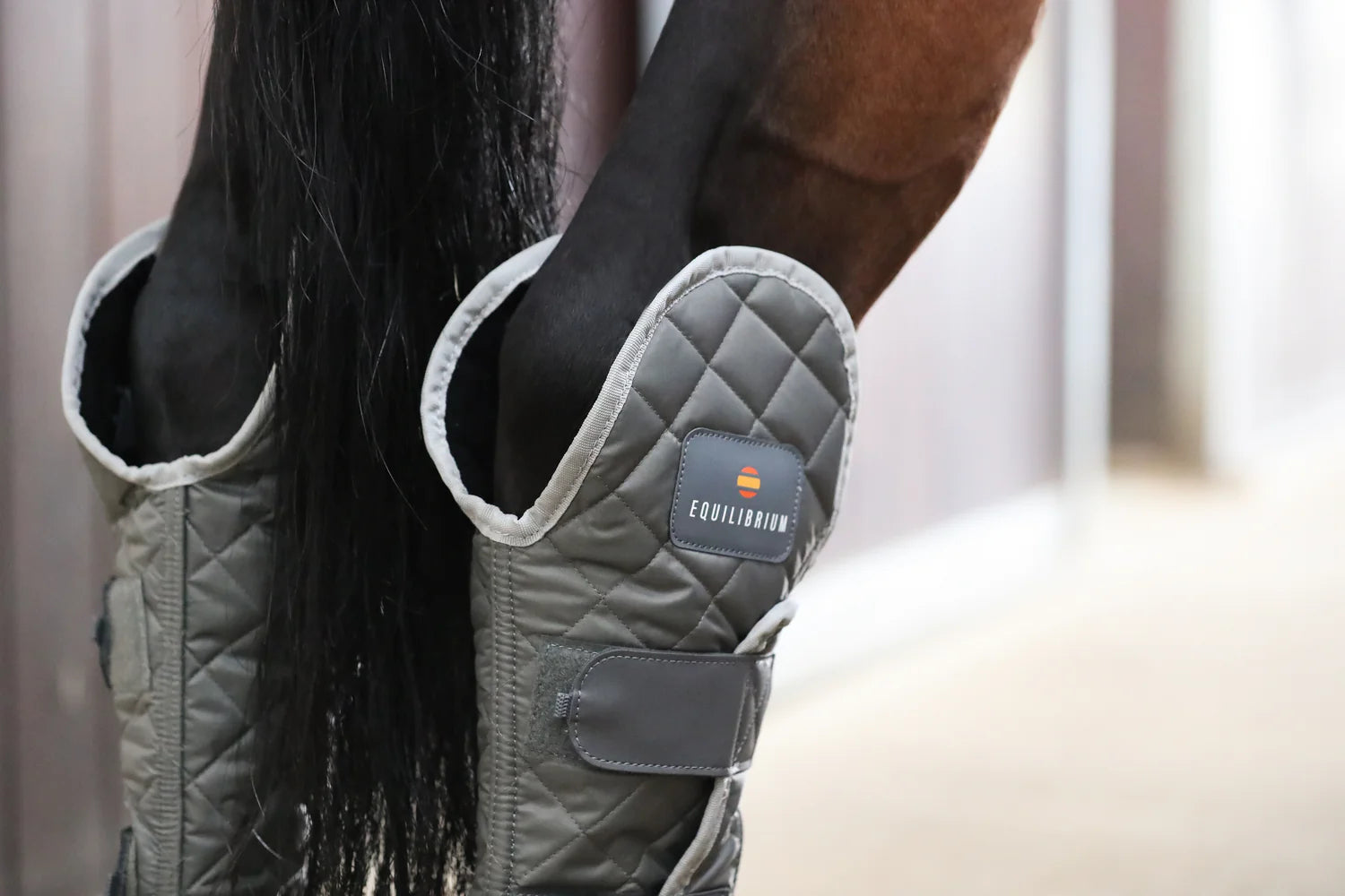 Equilibrium Hind & Hock Magnetic Chaps