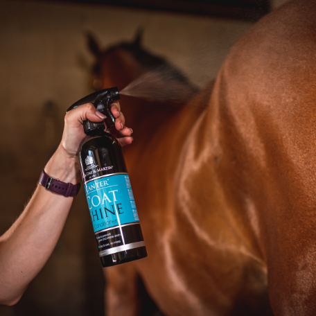 Carr & Day & Martin Canter Coat Shine Conditioner Spray
