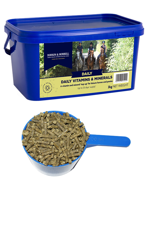 Dodson & Horrell Daily Vitamins and Minerals
