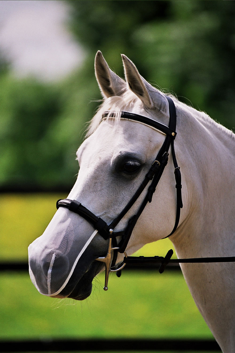 EQUILIBRIUM NET RELIEF CAVESSON MUZZLE NETS PONY