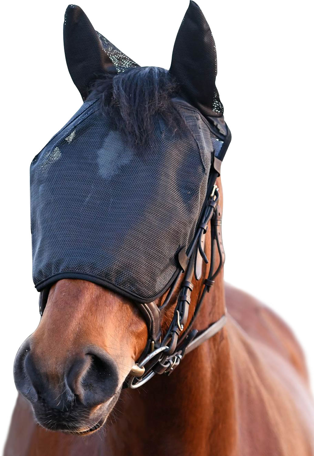 EQUILIBRIUM NET RELIEF RIDING MASK