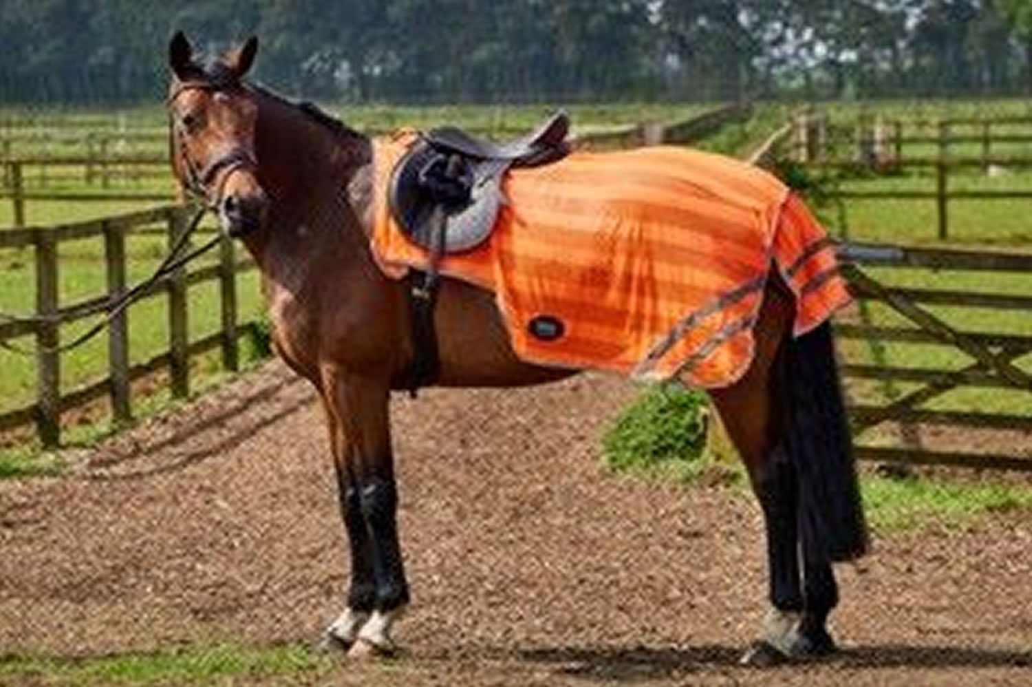 Firefoot Reflective Exercise Sheet