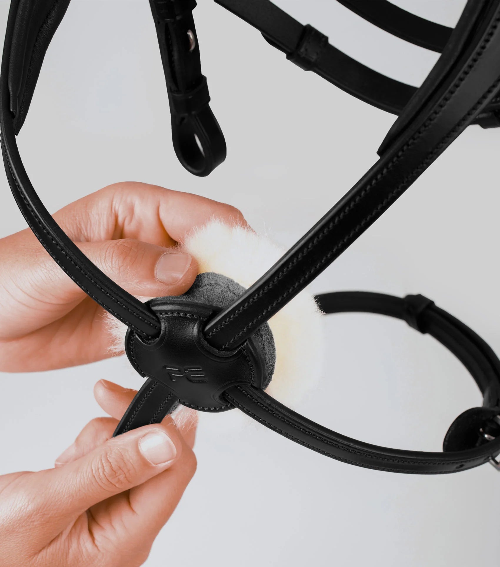 Glorioso Grackle Bridle