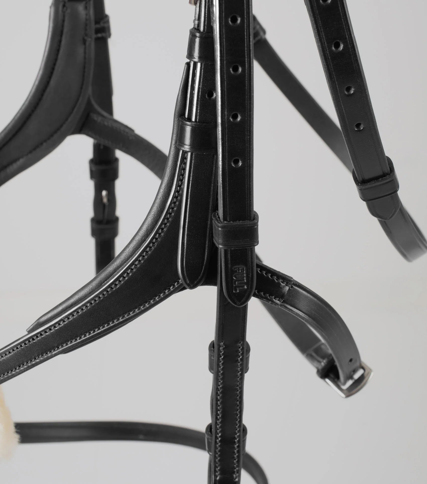 Glorioso Grackle Bridle