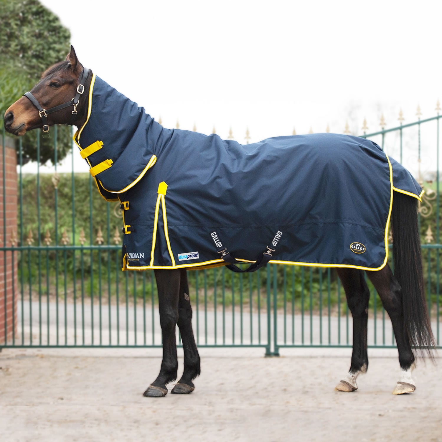 Gallop Trojan Duraproof 200g Turnout Combo