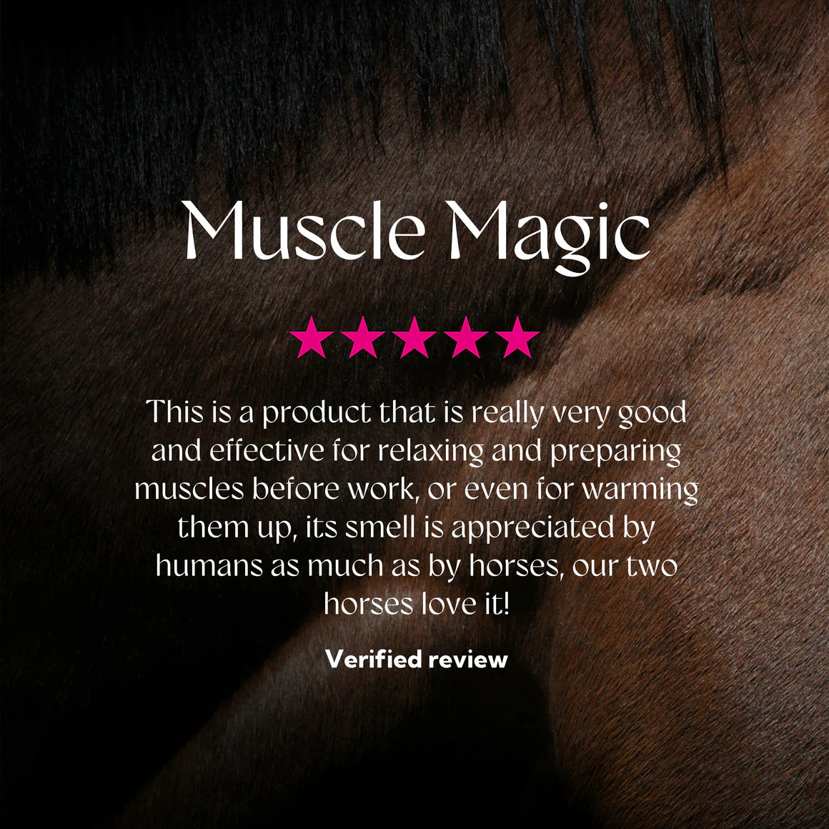 Hilton Herbs Muscle Magic 500ml