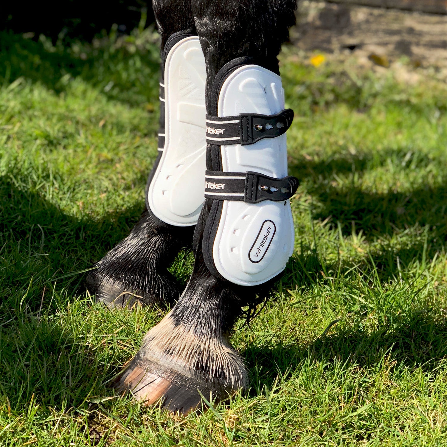 Whitaker Bingley Tendon & Fetlock Boot Set