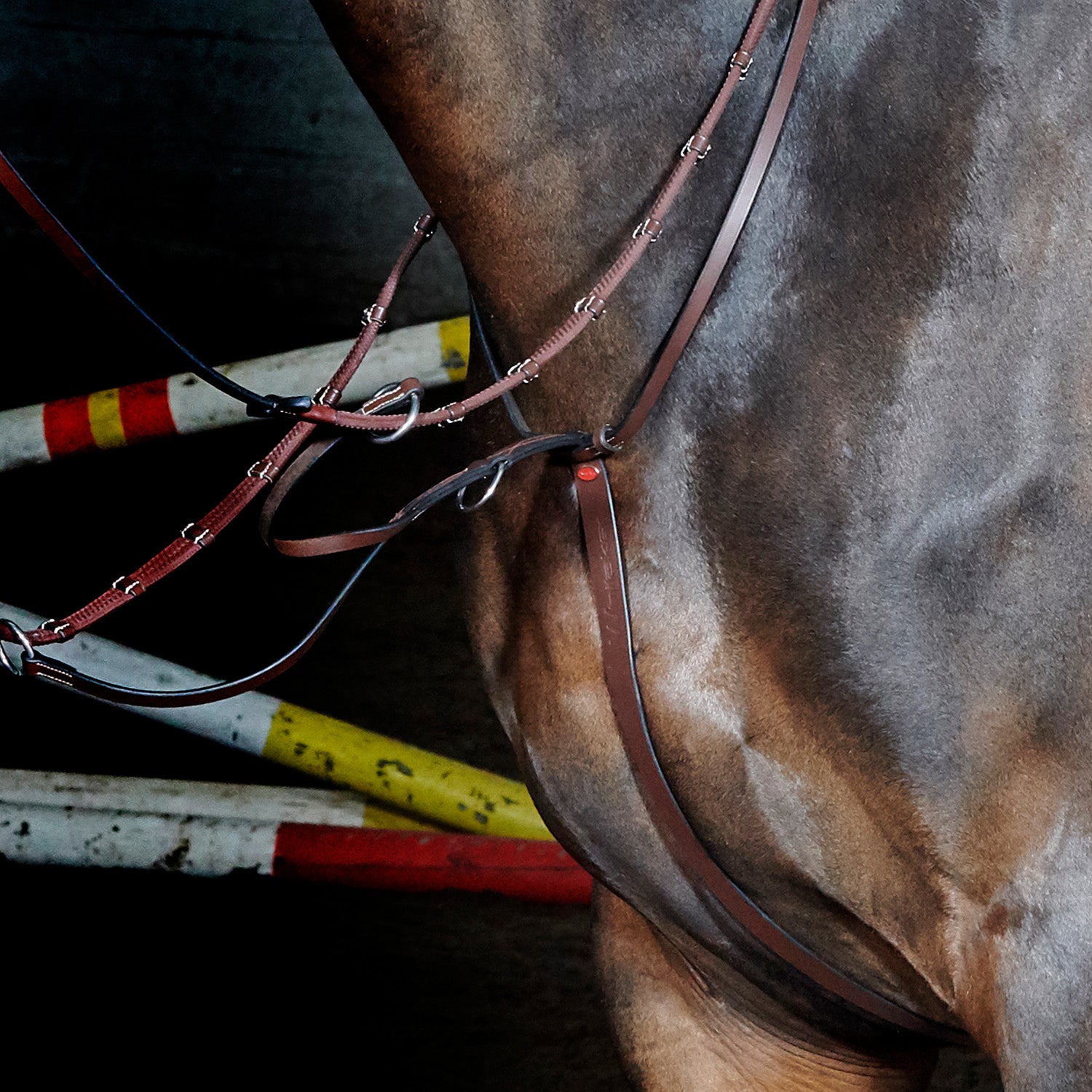 Eastwood Running Martingale