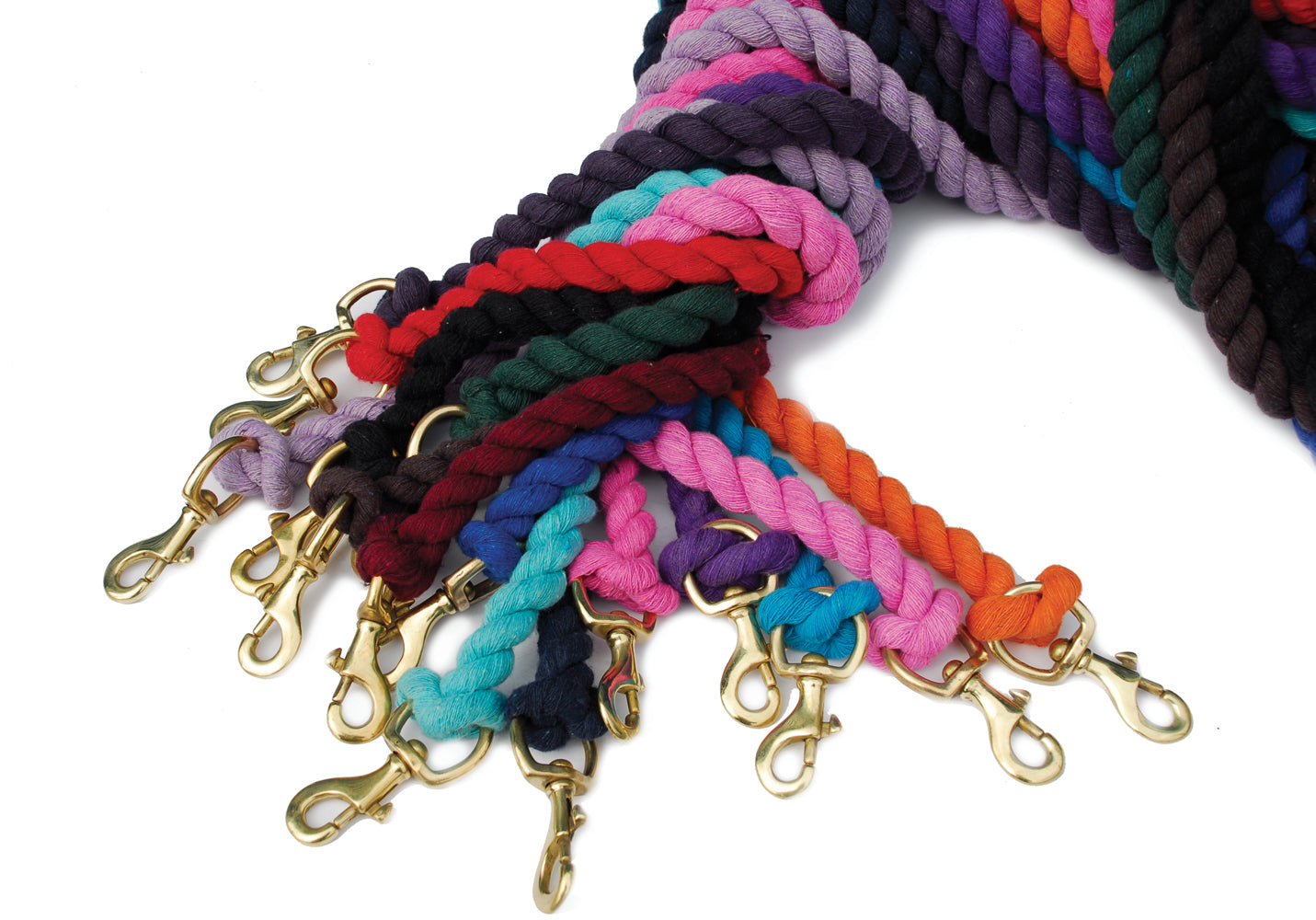 Rope lead rope with Trigger Clip
