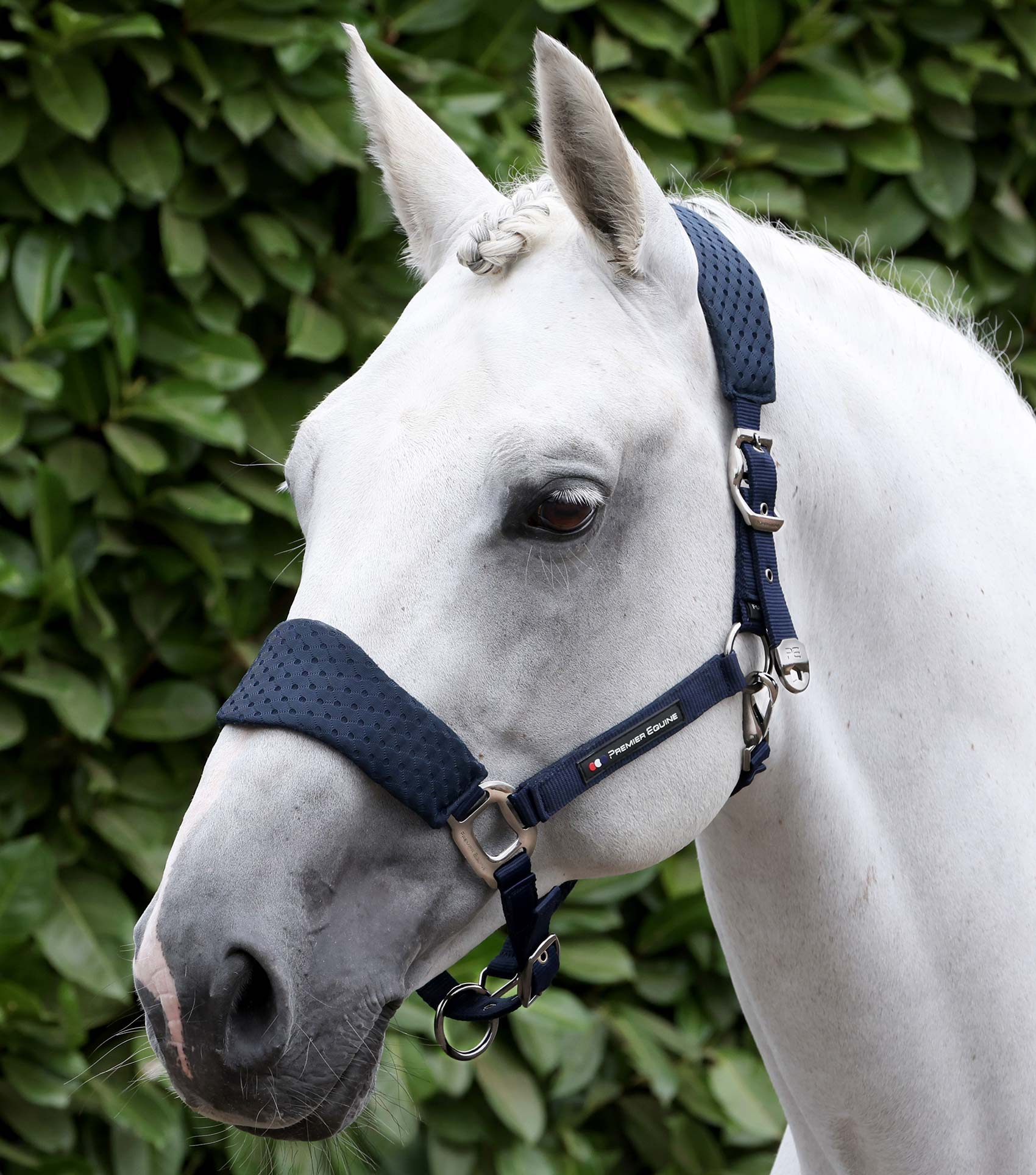 Premier Equine Necto 3D Mesh Head Collar with Lead Rope