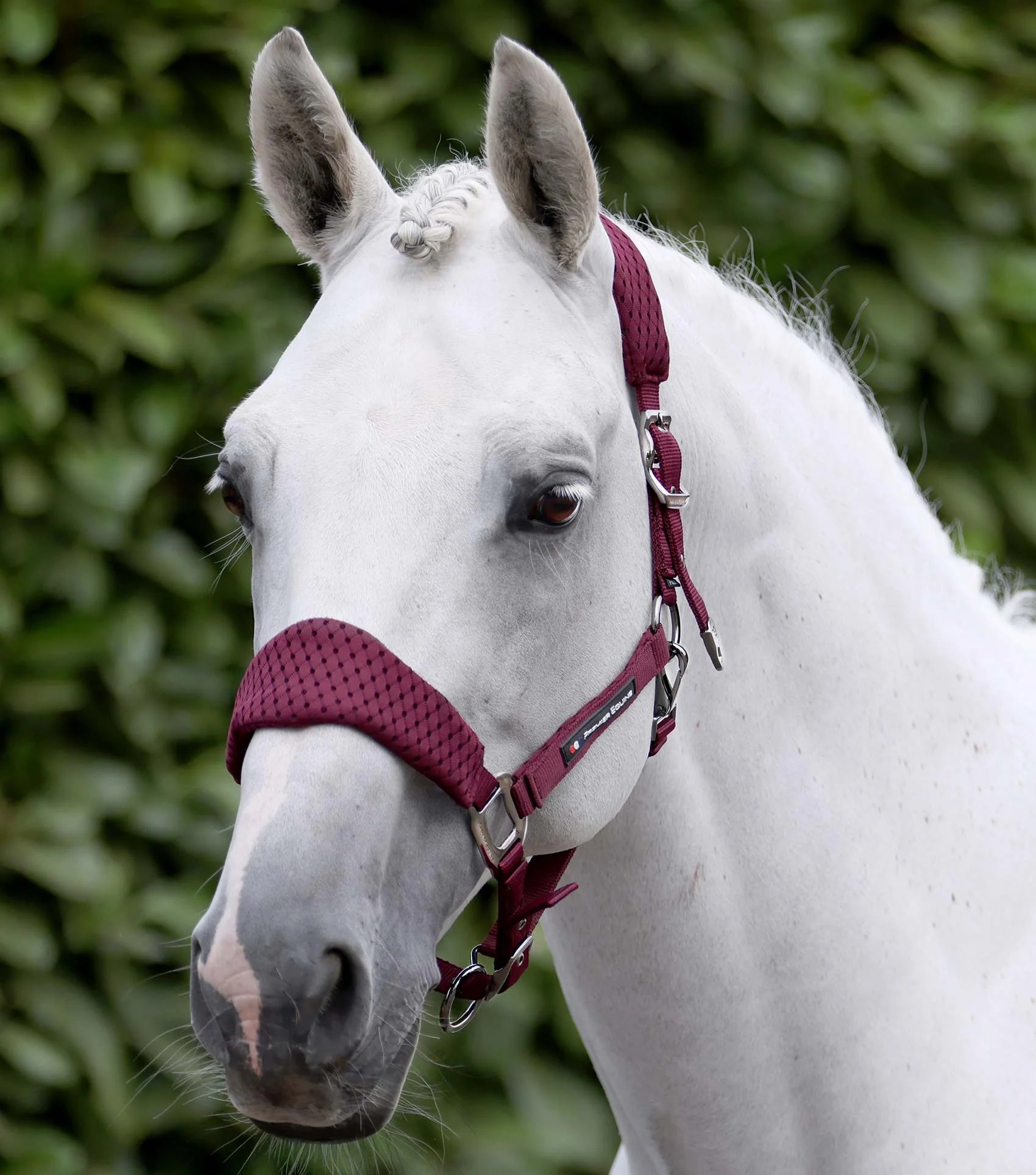 Premier Equine Necto 3D Mesh Head Collar with Lead Rope