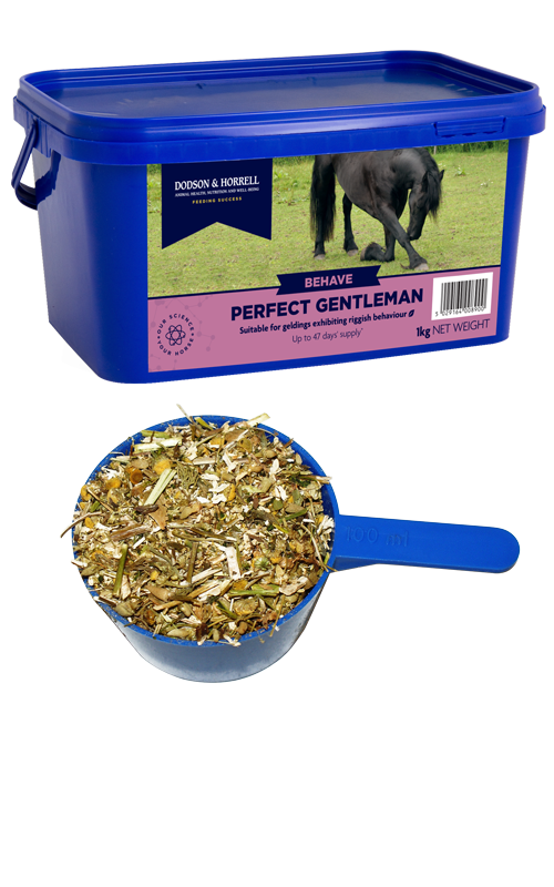 Dodson & Horrell Perfect Gentleman 1KG