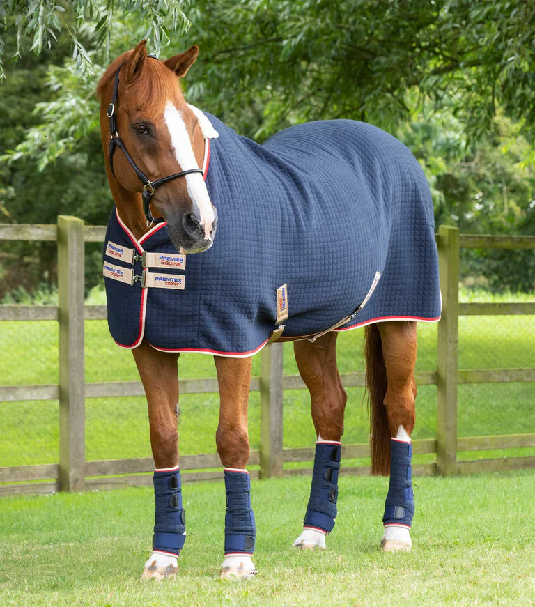 PremTex Horse Cooler Rug