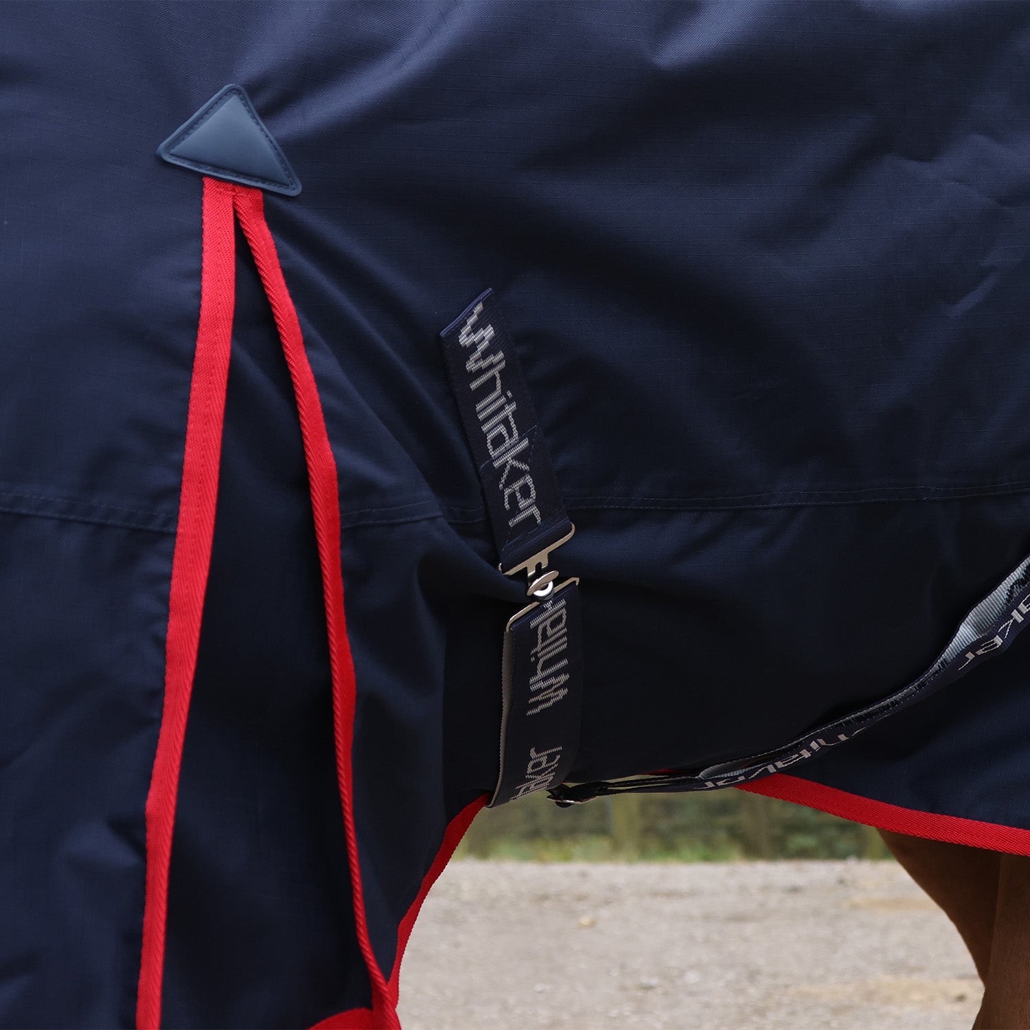 Whitaker Rastrick V2 0g Turnout